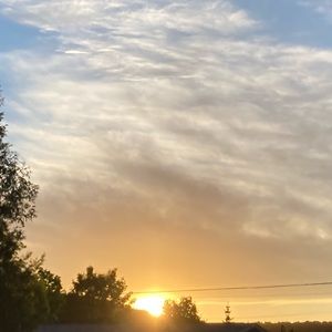 Meet your Posher, Hayden